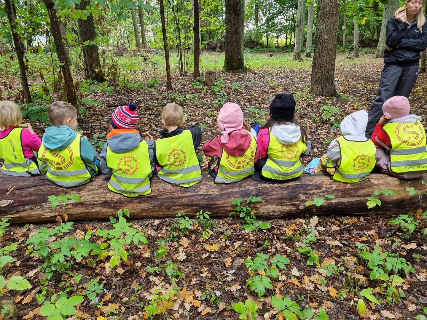 Åtte barn med gule vester som sitter på en stokk med ryggen til